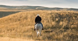 Rancher on horse in a field